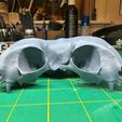 IMG_6239.jpg Conjoined Domestic Cat Skull (Pre Supported)