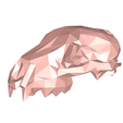 model-1.png Wolf skull low poly