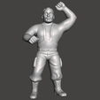 Screenshot-791.png WWE WWF LJN Style Bushwhacker Butch Figure