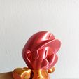 WhatsApp-Image-2023-04-19-at-4.39.16-PM-2.jpeg Archivo STL Nice Little Flexi・Modelo imprimible en 3D para descargar