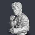 Screenshot-2026-08-10-150434.png Bruce Lee Martial Arts Legend Bust - High Detail 3D Printable Model
