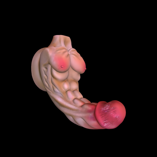 muskulser Torso-Dildo STL Datei fr 3D-DruckCults