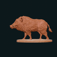 IMG_0425.png Wild boar standing statue STL