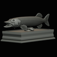 northern-pike-statue-box-1-2-1-24.png fish NORTHERN PIKE (ESOX LUCIUS) open mouth with storage space / for 3d printing