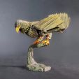 P-02-AGUIla-shira.jpeg Aigle articulé : figurine à poser