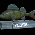 Perch-statue-4.png fish perch / Perca fluviatilis statue detailed texture for 3d printing