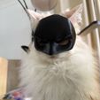 6bcec1c0-d918-11f0-9cc6-31cae81f1e66.jpg Macara Batman for cats