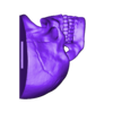 Skull_Brain.stl Anatomie