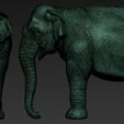 F6.jpg Elephant asian