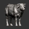 Bull10.jpg Bull 3D print model