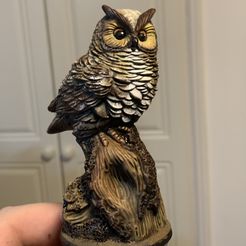 01ACB38D-C820-4B3B-B247-04806A07A290.jpeg STL file Owl 3D Model 3D print model・3D print object to download