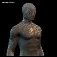 ERRER.jpg SPIDERMAN - SAM RAIMI - Tobey Maguire 3D PRINTING - STL