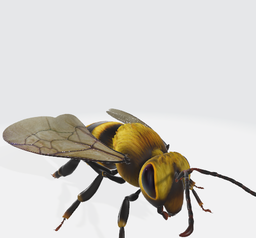 DESIGN_16 3D model preview