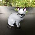 IMG_5724.jpg Realistische Raymond-Katze - Animal Crossing