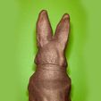 2.jpg Peter Rabbit