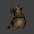 I19.jpg Dog - Labrador Statue