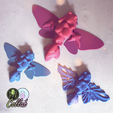 Main_2.png Dragon-Fly