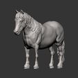 pony8.jpg Modelo de impresión 3D de poni