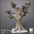 720X720-release-oak-1.jpg Oak Tree Winter/Summer versions - The Hunt