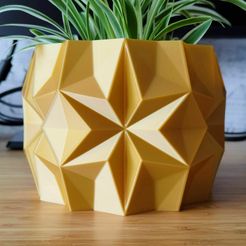 MaxIMG_20221216_213248.jpg Free STL file Winter Christmas Star Plant Pot and Planter・3D printer design to download