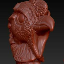 Screenshot_1.jpg tête de condor