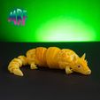 09.jpg Articulated Armadillo