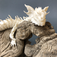 Images-2_101.png Articulated Dragon