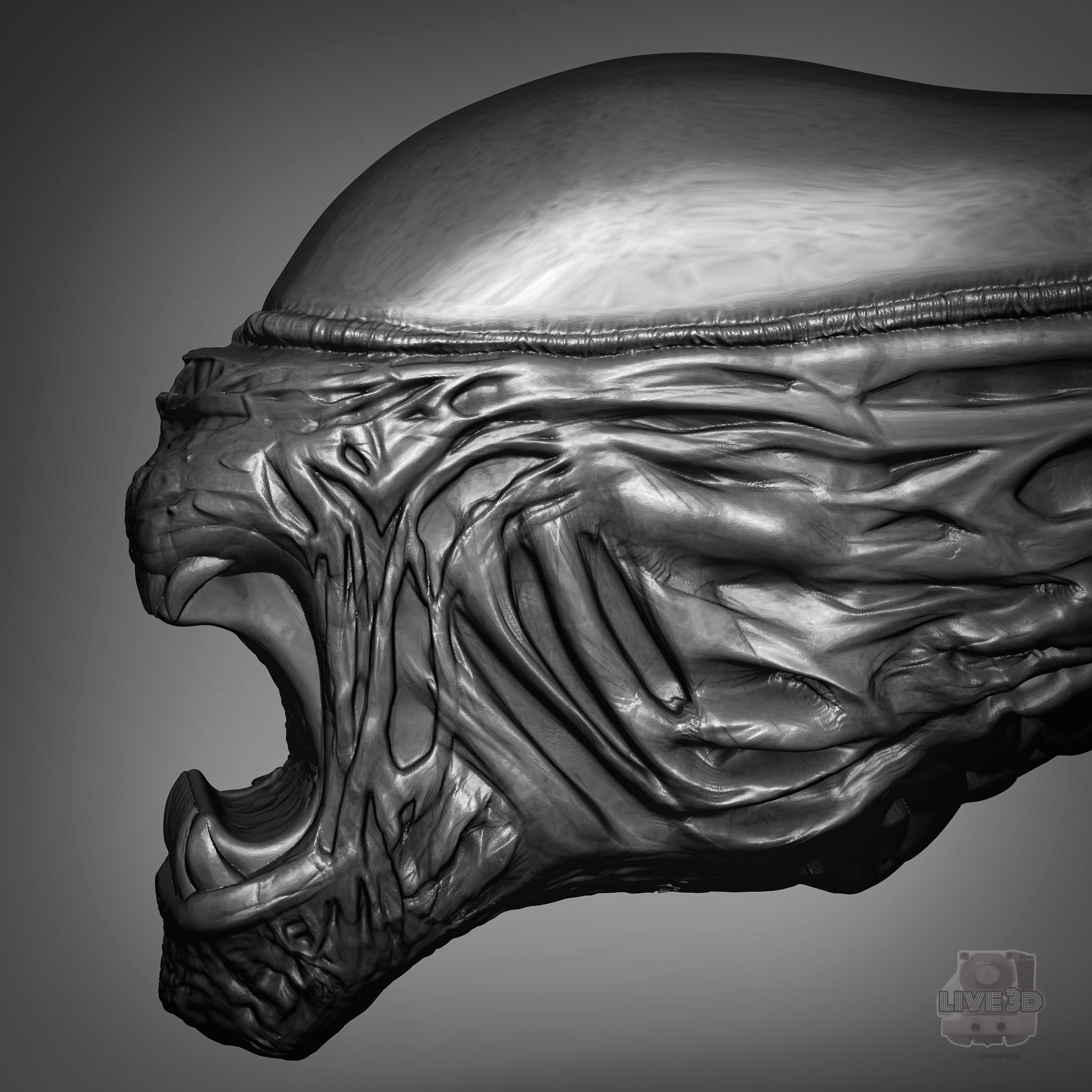 Descargar Archivo Stl Xenomorph Alien Bottle Opener Por António Pugliese Live3dprintspt 0904