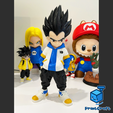 vegeta3.png VEGETA URBAN VIBES (MULTIPARTS/3MF/NoAMS)