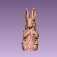 6.jpg Peter Rabbit