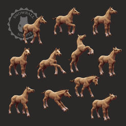 collage_foal_colour.png Set de potro