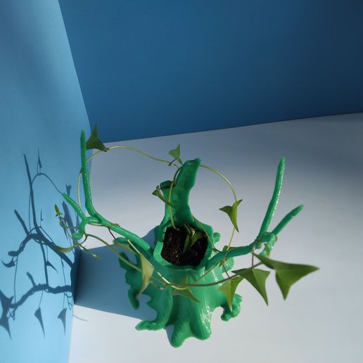 IMG_20220517_174156500.jpg Pot / Pen Pencil Holder (Old Stump)