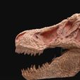 DSC06164.jpg Carved T-Rex Skull
