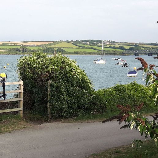 three_for_testing_with_DorneMist_in_background.jpg eGull outboard motor