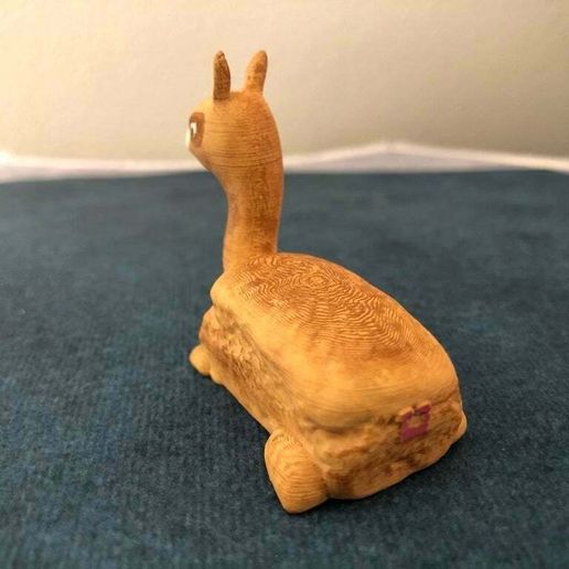 IMG_2741.jpg Pain de lamas