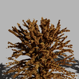 Tree_03.png Trees 3D model