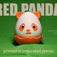 RedPanda.jpg Panda Egg