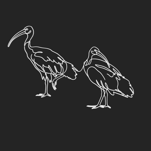 Australian White Ibis 1 lineart 3d printed