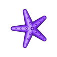 Starfish.stl Spinning Toy: Starfish, Sawfish, Shellfish