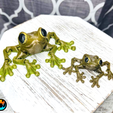 5.png Cinder Frog, Articulating Frog, Tree Frog, Dart Frog, Cinderwing3D, Articulating Flexible Fidget Cute Print in Place No Supports
