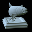 Rainbow-trout-trophy-open-mouth-1-32.png fish rainbow trout / Oncorhynchus mykiss trophy statue detailed texture for 3d printing