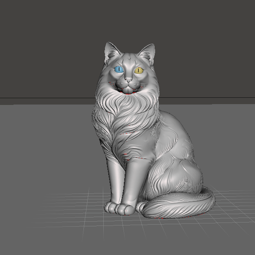 Angora cat - (angora cat)