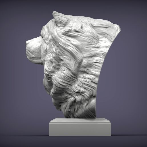 chow-chow2.jpg Modèle imprimé en 3D du buste de Chow Chow