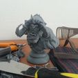 20140530_154334.jpg STL file Goblin Bust・3D printing idea to download