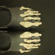 20230816_111137.jpg Skeleton Croc Toe Jibbitz