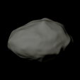 rashalom.png 2100 Ra-Shalom scaled one in forty thousand