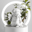 cheruba3.png Baby-Engel