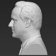 6.jpg David Cameron bust 3D printing ready stl obj formats