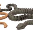 Serpiente y cascabel