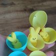 333953152_533574752221783_3631427319367675517_n.jpg Easter Egg Peep Bunny Egg Hunt Game